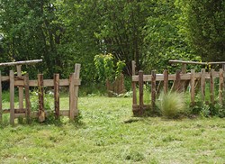 Gestion douce du jardin