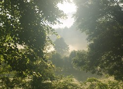 Gestion douce du paysage