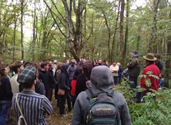 Réseaux et alternatives